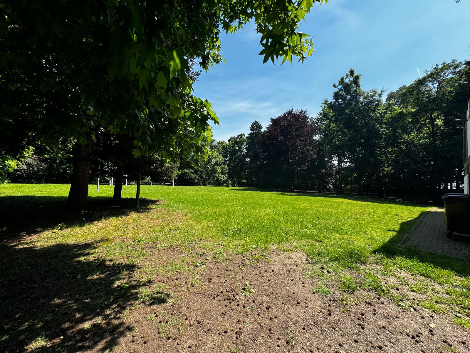 Prato del parco di Villa Monzini